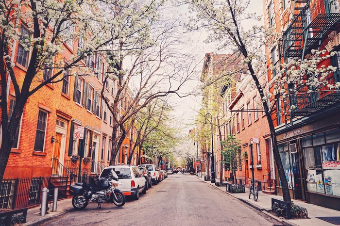 Street in New York City with blooming trees