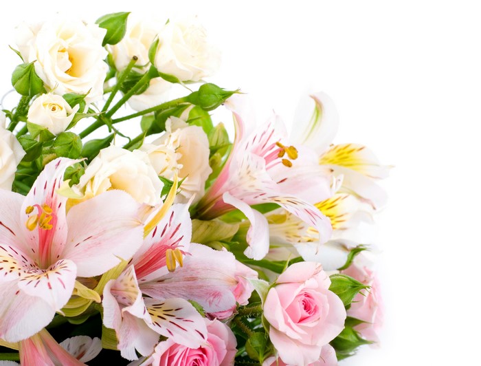 Bouquet of Roses and Alstroemeria on White Background