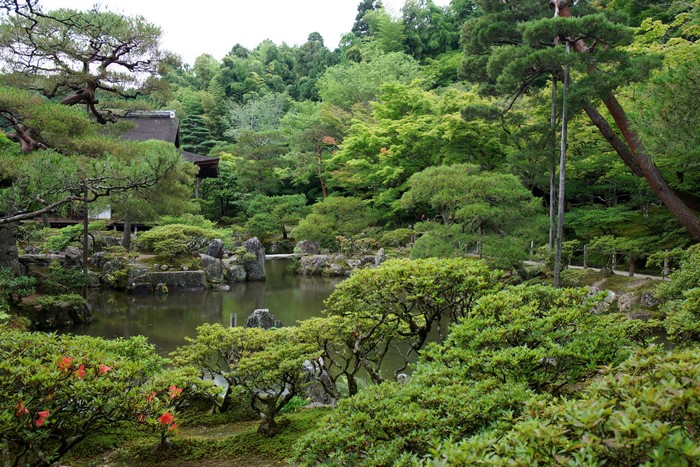 Japanese Garden with Pond and Trees in Kyoto