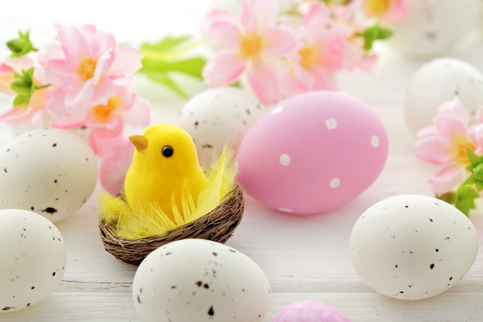 Easter chicks and eggs with pink flowers