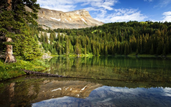 Lake with Forest and Mountains in Canada