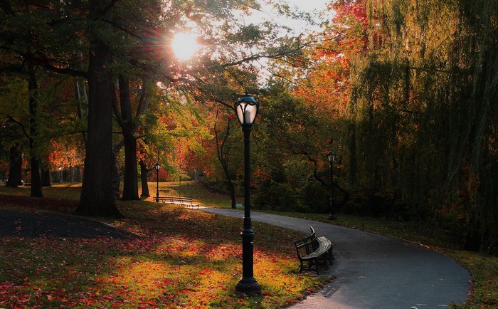 Autumn park scene with street lights and benches