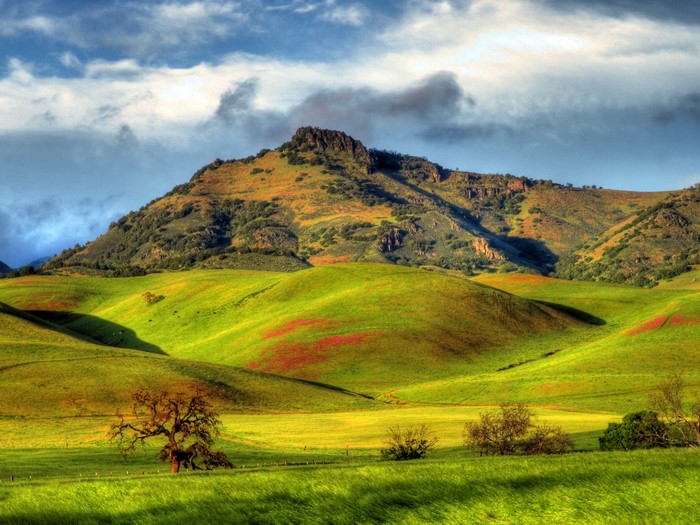 Santa Ana Valley California Mountains and Grasslands