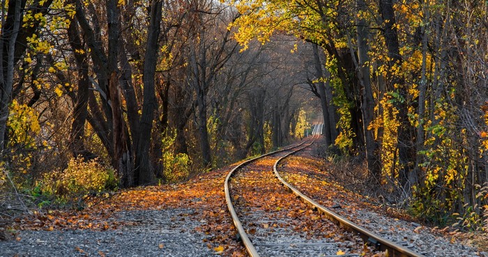 Railroad tracks in autumn forest with fallen leaves