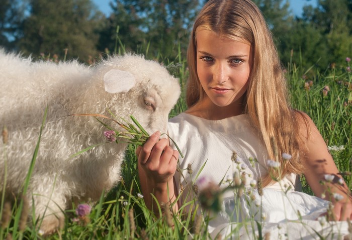 Girl feeding grass to a sheep in a field
