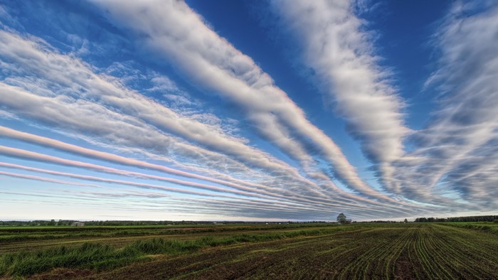 Lenticular clouds over agricultural fields