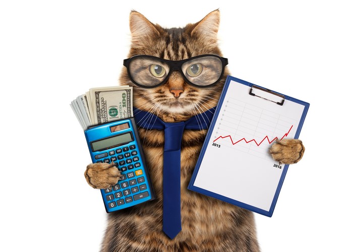 Cat in Glasses with Money and Calculator
