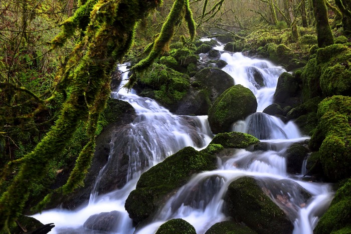 4K Waterfall in Soubey, Switzerland Forests