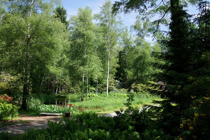 Park Seleger Moor, Switzerland with trees and pond