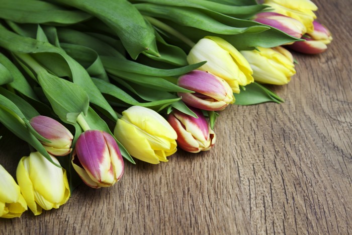 4K Tulips on Wooden Surface