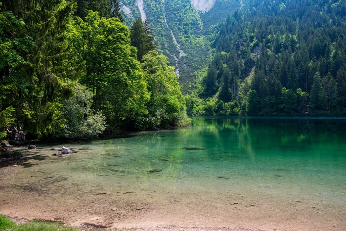 Lake and Forest in Mountains