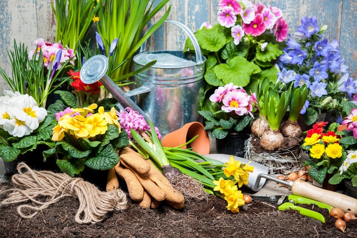 Spring Garden Flowers and Tools