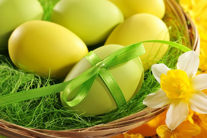 Easter eggs in a basket with daffodils