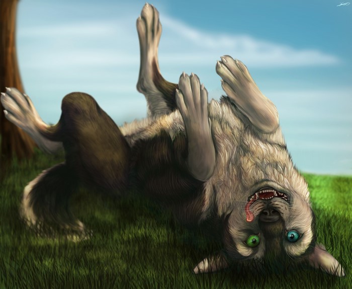 Wolf rolling in grass painting