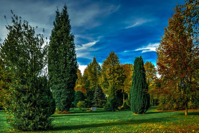 Park with trees and lawn in Attendorn, Germany
