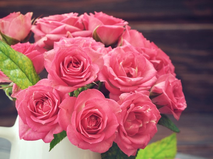 4K Pink Roses Closeup