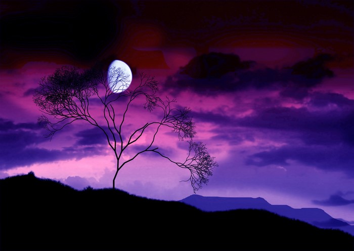Night sky with moon and clouds over a tree