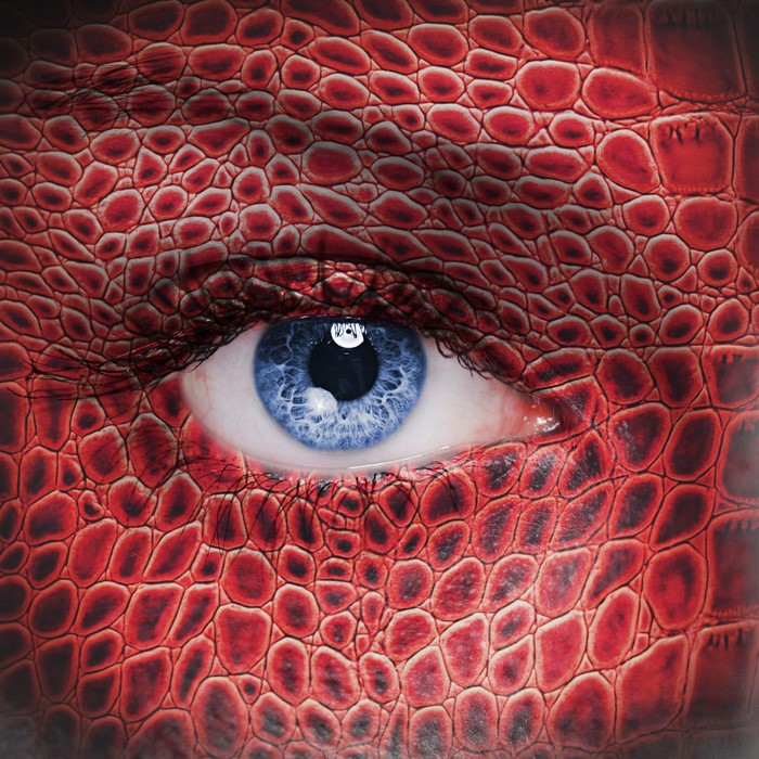 Close-up of a blue eye with red scales