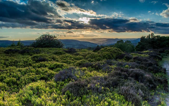4K Scenery of Sky, Shrubs, and Clouds