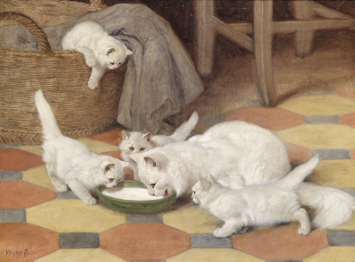 Mother and kittens drinking milk by Arthury Heyer