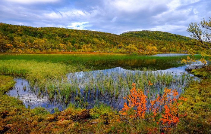 Autumn landscape with lake and colorful trees in Norway