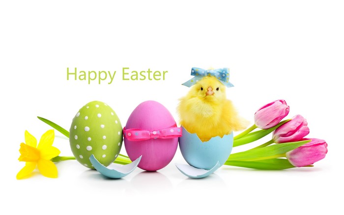 Happy Easter with Chicks, Eggs, Tulips, and Daffodils