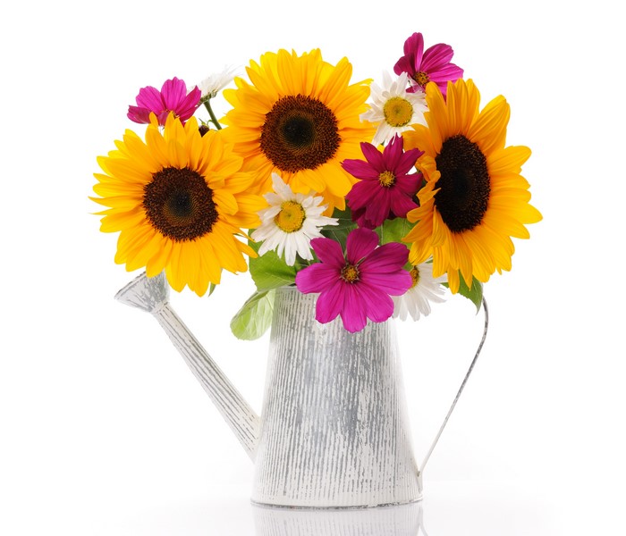 Bouquet of Sunflowers and Daisies in a Watering Can