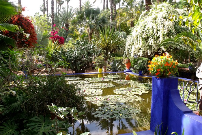 Jardin Majorelle Marrakech, Morocco Gardens Pool Palms Shrubs