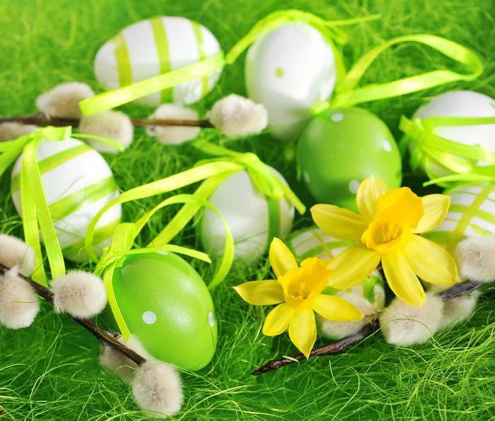 Easter Eggs and Daffodils on Green Grass