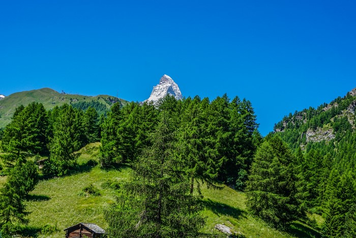 Matterhorn mountain peak behind a dense forest in Switzerland