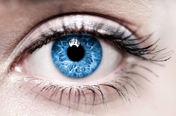 Extreme close-up of a blue human eye with detailed iris