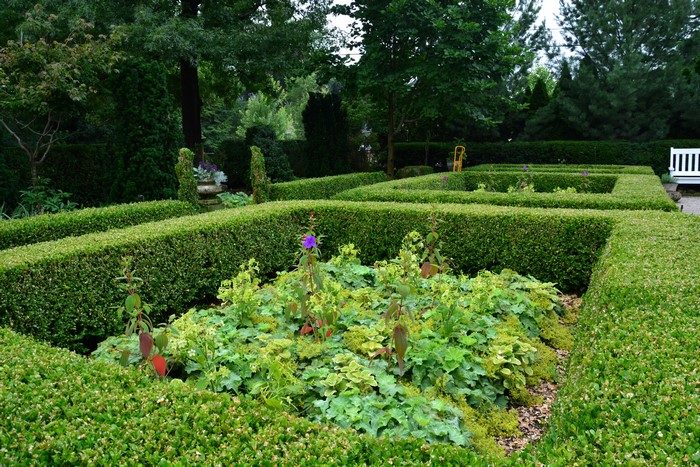 Formal Garden with Boxwood Hedges and Flowers