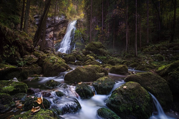 Mossy rocks and waterfall in a forest stream