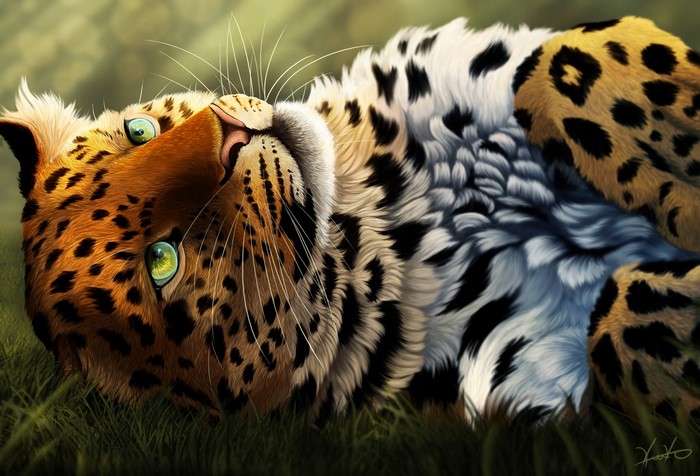 Painting of a Leopard Lying in Grass