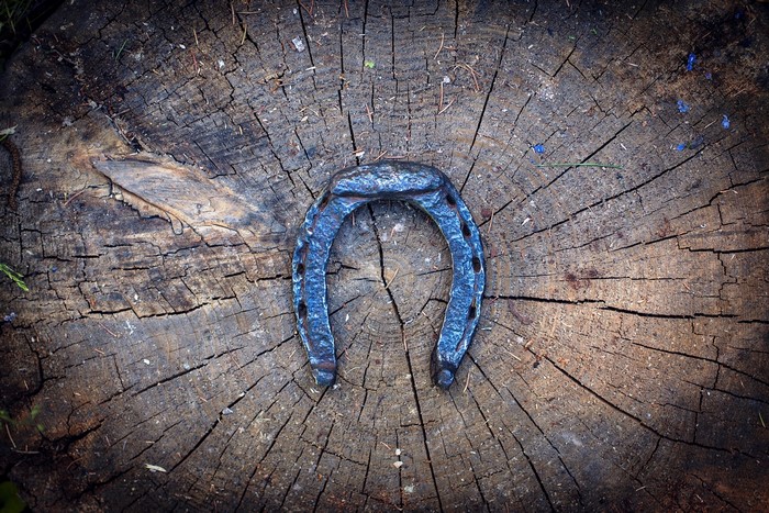 Horseshoe on a tree stump