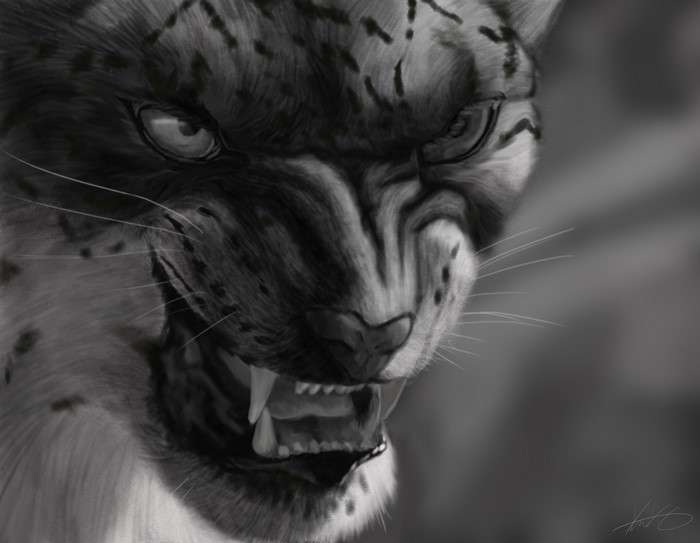 Painting of a Snow Leopard Roaring