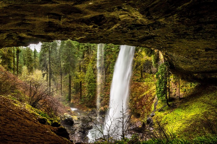 4K Waterfalls in Forests of Silver Falls State Park, USA