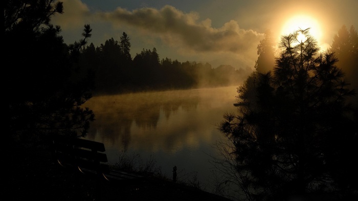 Sunrise over a misty lake with pine trees