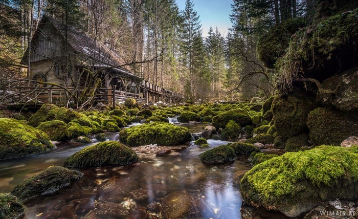 Mossy rocks in a forest stream near a wooden mill in Austria