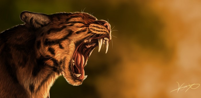 Tiger roaring with mouth open