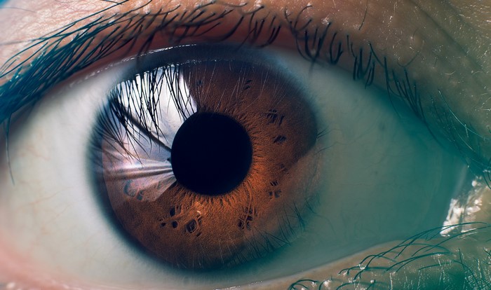 Extreme Macro Closeup of a Human Eye