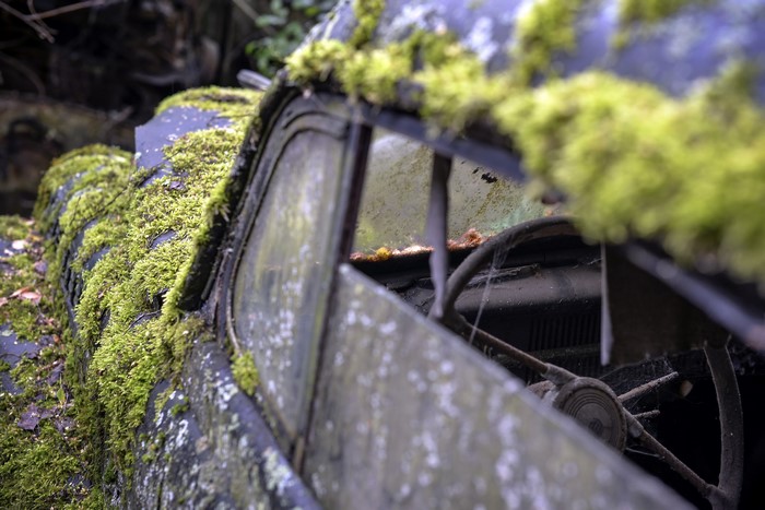 Old car covered in moss