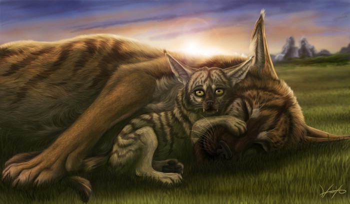 Two striped wild cats resting in a grassy field at sunset