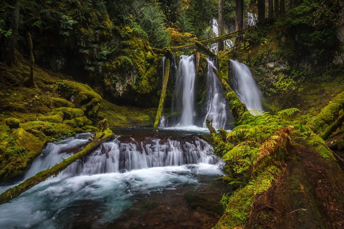 4K Waterfalls in Silver Falls State Park, USA
