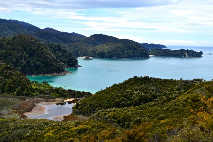 Tasman National Park Coastline with Forests and Mountains