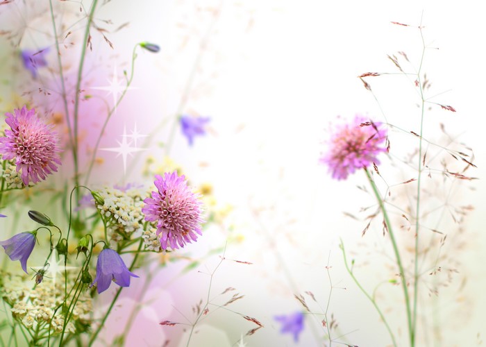 Wildflowers and grass with sparkles