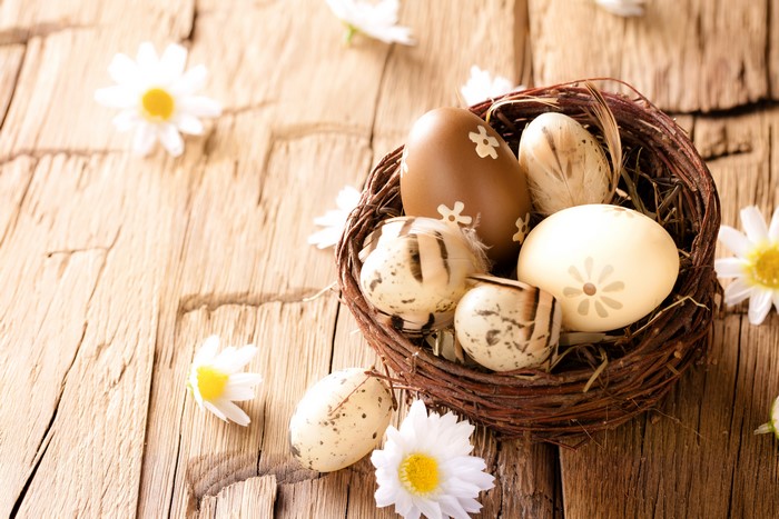 Easter eggs in a nest with daisies
