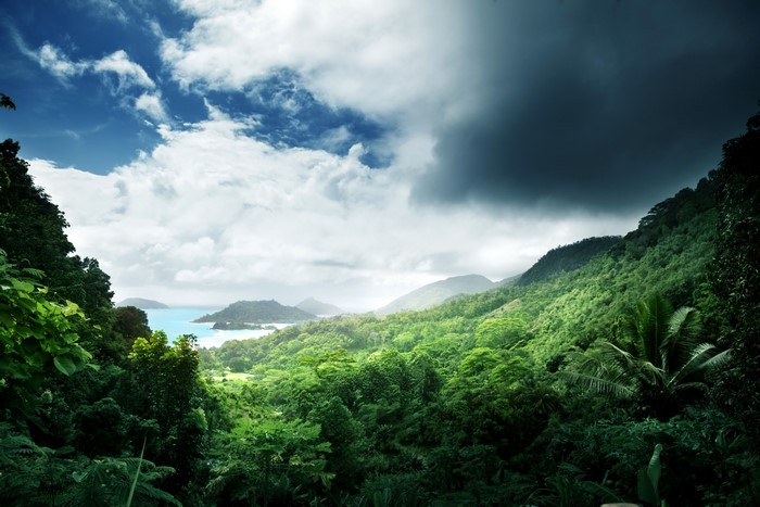 4K Jungle Tropics Scenery Forests Clouds