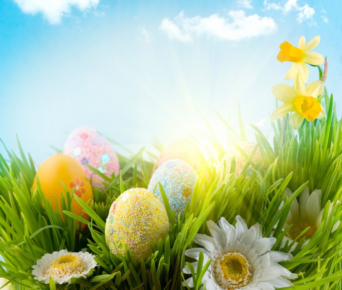 Easter Eggs in Grass with Daffodils and Daisies