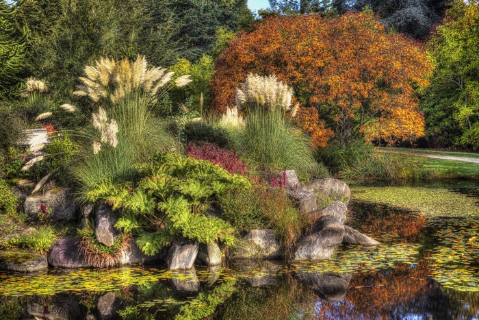 Pampas grass and autumn trees by a pond in a garden